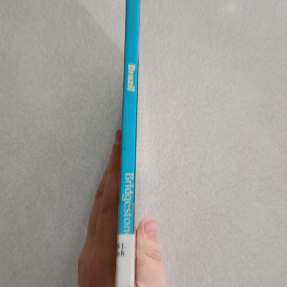 Children's Book on Brazil - Picture 3 of 6